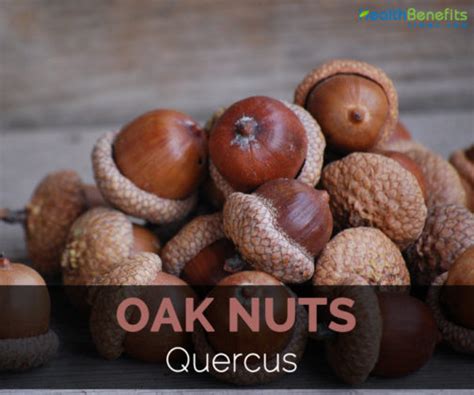 oak nut figgerits  This is the answer to the clue : __ in __, it's a good job Figgerits